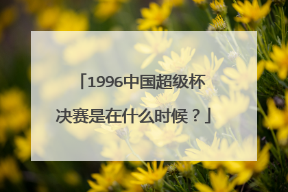 1996中国超级杯决赛是在什么时候？