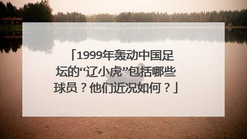 1999年轰动中国足坛的“辽小虎”包括哪些球员？他们近况如何？