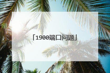 1900端口问题