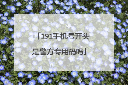 191手机号开头是警方专用码吗