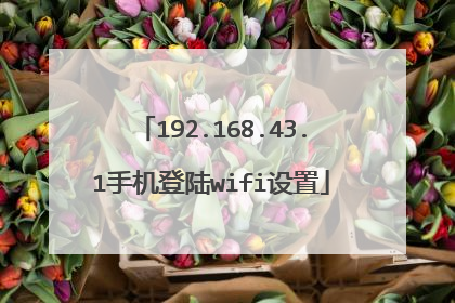 192.168.43.1手机登陆wifi设置