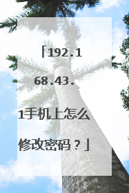 192.168.43.1手机上怎么修改密码？