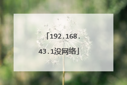 192.168.43.1没网络