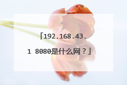 192.168.43.1 8080是什么网？