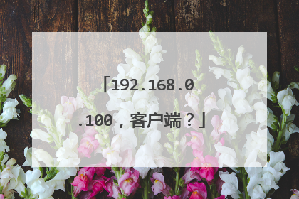 192.168.0.100,客户端?
