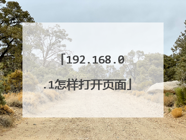 192.168.0.1怎样打开页面