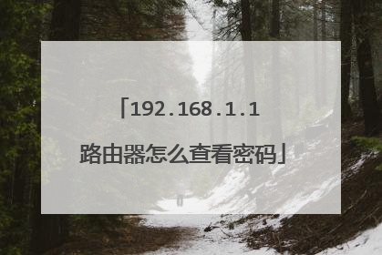 192.168.1.1 路由器怎么查看密码