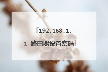 192.168.1.1 路由器设置密码