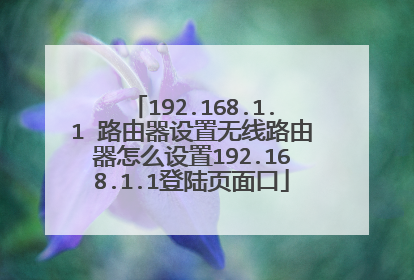 192.168.1.1 路由器设置无线路由器怎么设置192.168.1.1登陆页面口