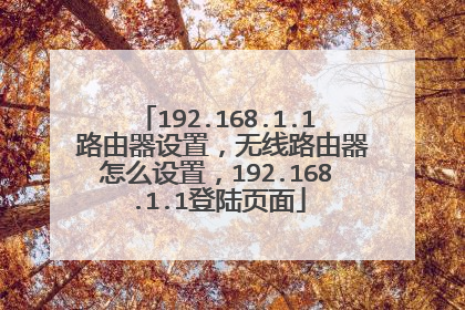 192.168.1.1 路由器设置，无线路由器怎么设置，192.168.1.1登陆页面