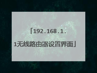 192.168.1.1无线路由器设置界面