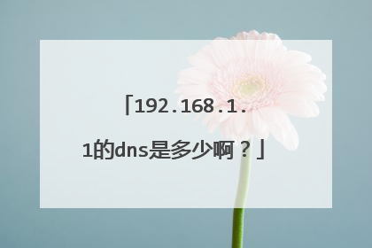192.168.1.1的dns是多少啊？