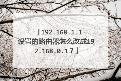 192.168.1.1设置的路由器怎么改成192.168.0.1?