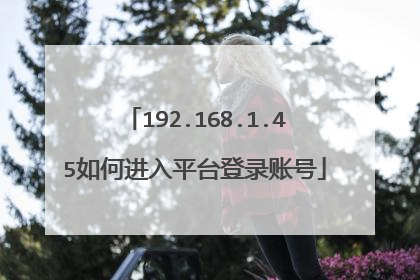 192.168.1.45如何进入平台登录账号