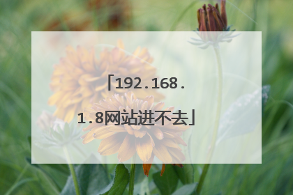 192.168.1.8网站进不去