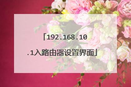 192.168.10.1入路由器设置界面