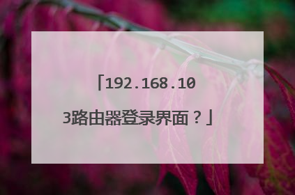 192.168.103路由器登录界面?