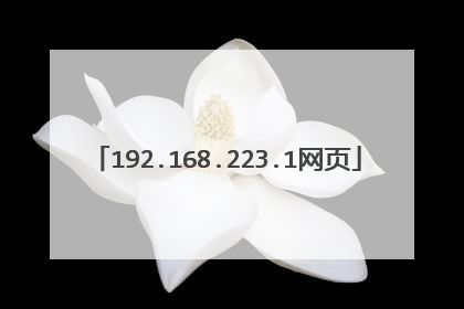 192.168.223.1网页