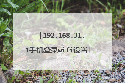 192.168.31.1手机登录wifi设置