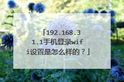 192.168.31.1手机登录wifi设置是怎么样的？