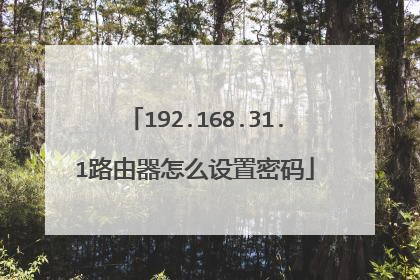 192.168.31.1路由器怎么设置密码