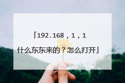 192.168，1，1 什么东东来的？怎么打开