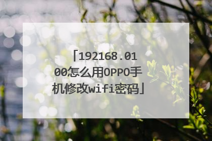 192168.0100怎么用OPPO手机修改wifi密码