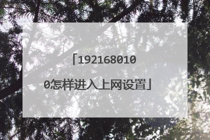 1921680100怎样进入上网设置