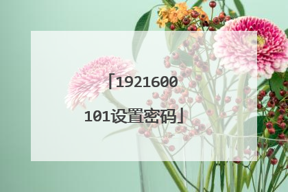 1921600101设置密码