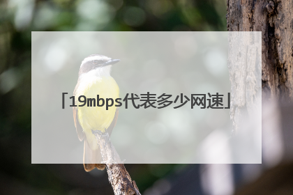 19mbps代表多少网速