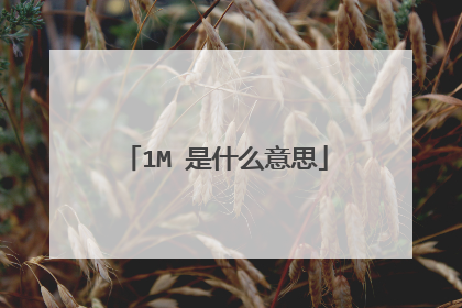 1M 是什么意思