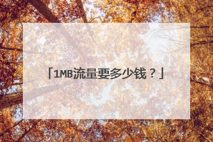 1MB流量要多少钱?