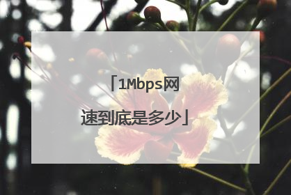 1Mbps网速到底是多少