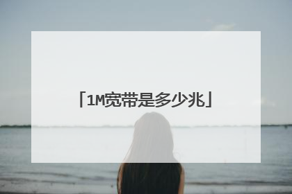 1M宽带是多少兆