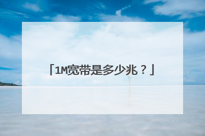 1M宽带是多少兆？