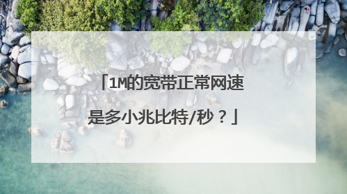 1M的宽带正常网速是多小兆比特/秒？