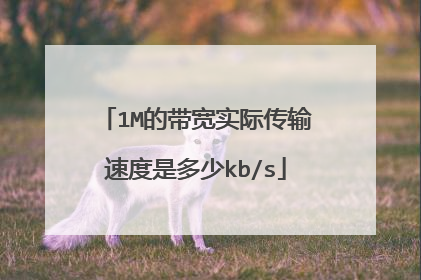 1M的带宽实际传输速度是多少kb/s