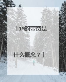 1M的带宽是什么概念？