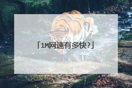 1M网速有多快?