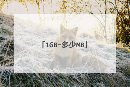 1GB=多少MB