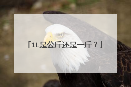 1L是公斤还是一斤?