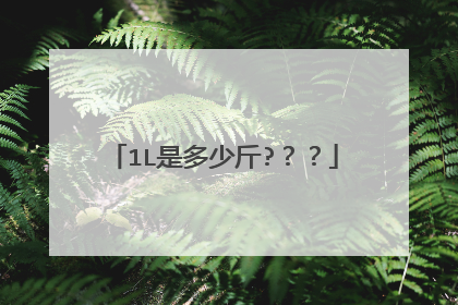 1L是多少斤?？？