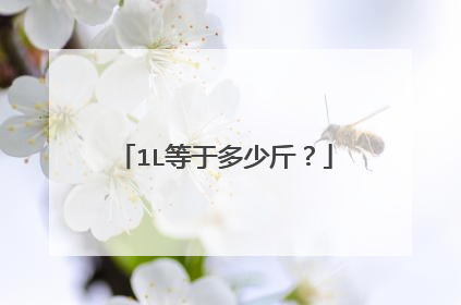 1L等于多少斤？