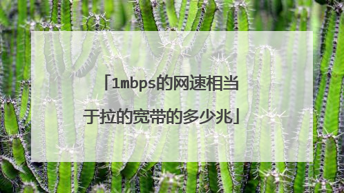 1mbps的网速相当于拉的宽带的多少兆