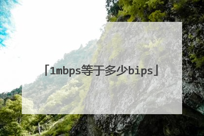 1mbps等于多少bips