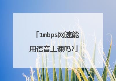 1mbps网速能用语音上课吗?