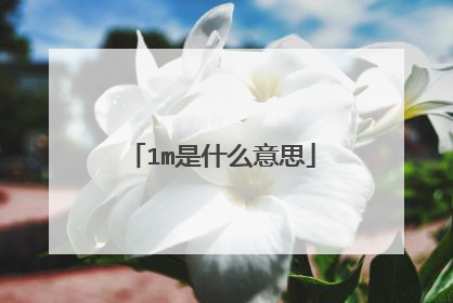 1m是什么意思