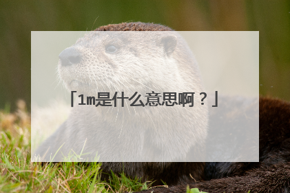 1m是什么意思啊？