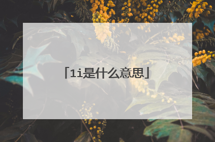 1i是什么意思