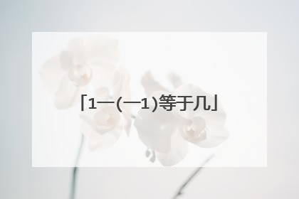 1一(一1)等于几